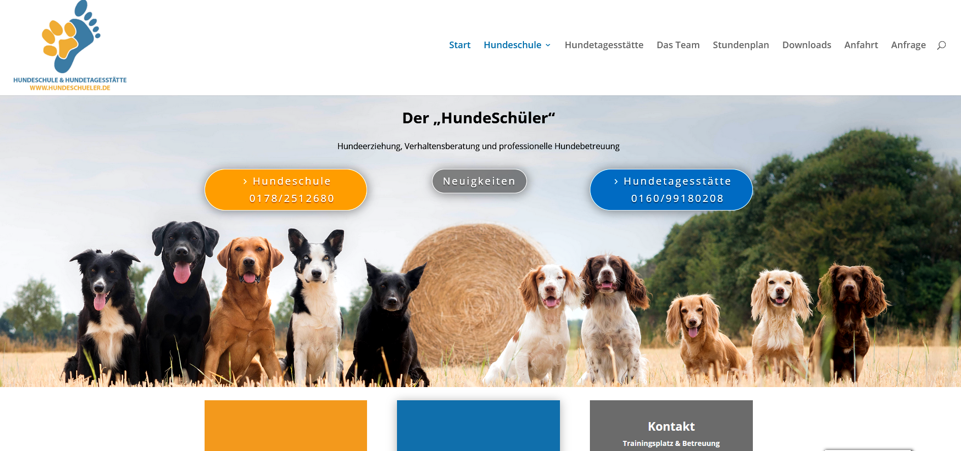 Website HundeSchüler