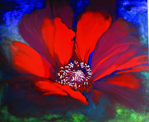 Mohn 120x100 cm