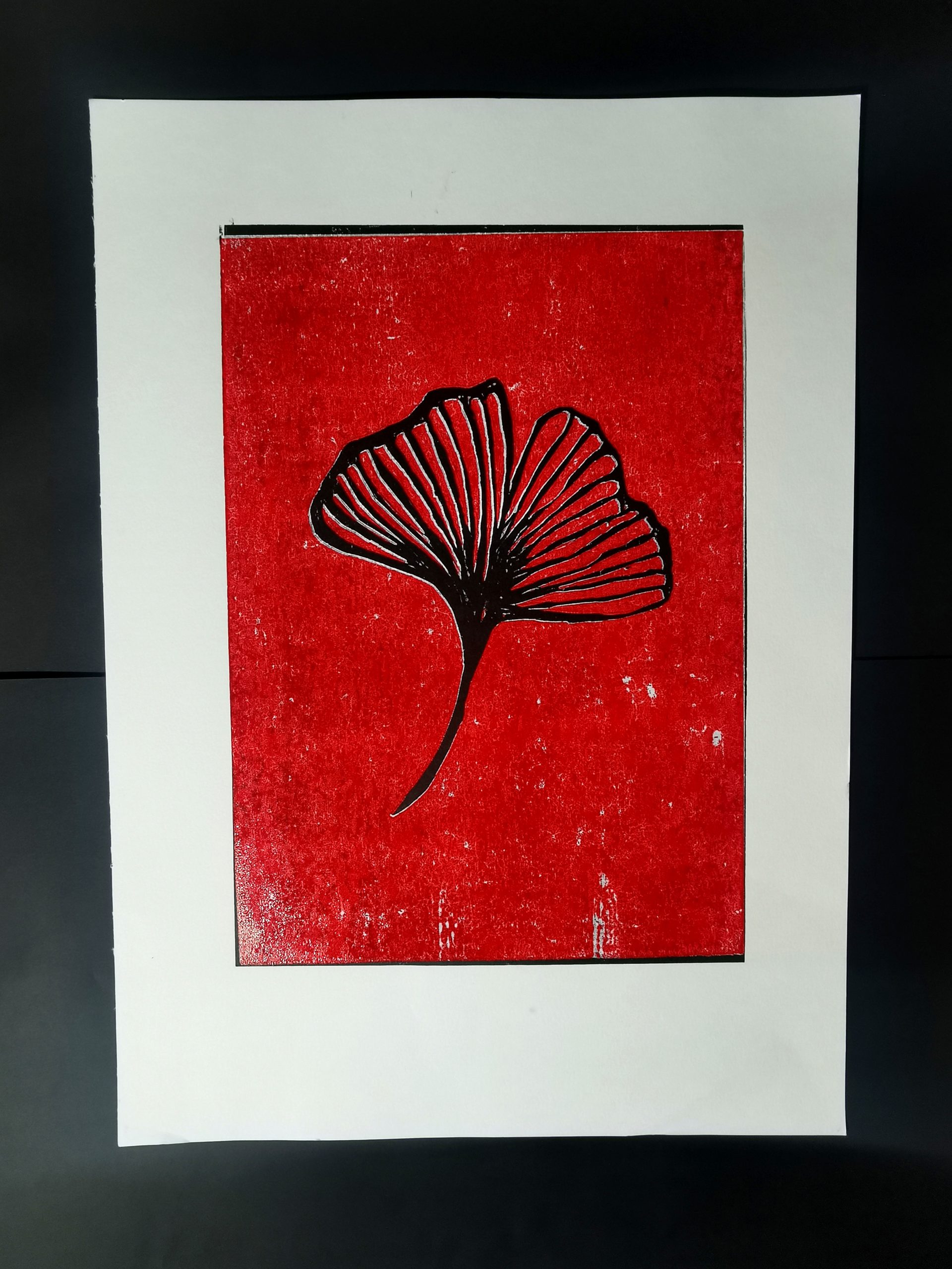 Red Ginkgo, A2