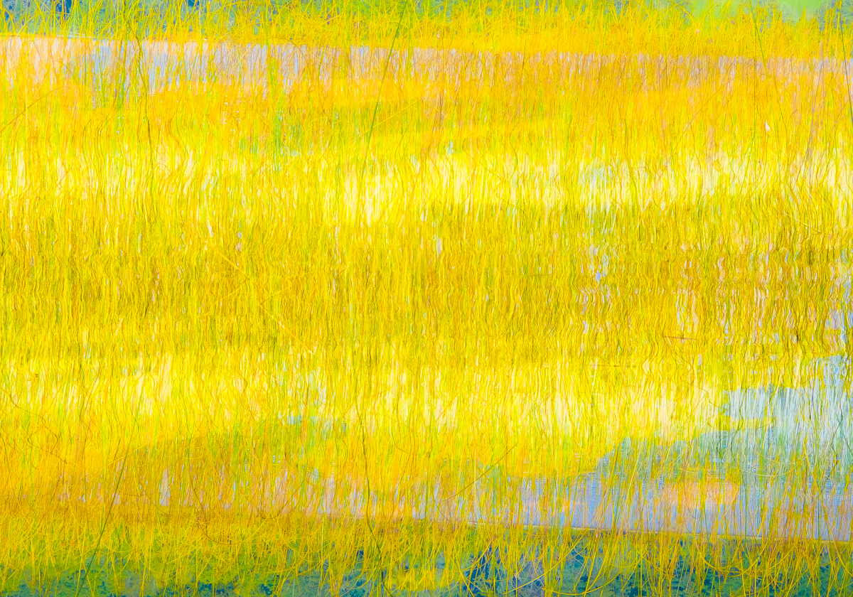 Yellow Meadows 56 x 80