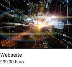 Webseite um 999 Euro 